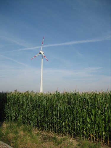 Windpark in Prettin im Süden von Sachsen-Anhalt