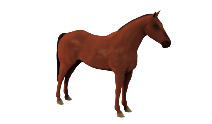 Visualisierung Pferd