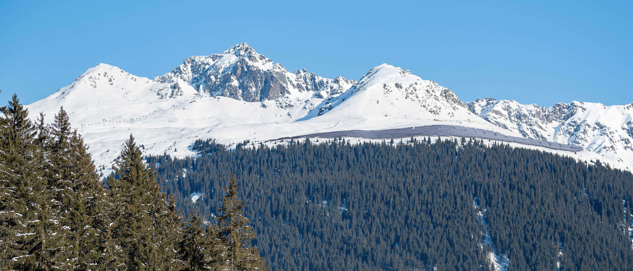 Visualisierung der alpinen Solaranlage Madrisasolar oberhalb Klosters, eingebettet in verschneite Berglandschaft.