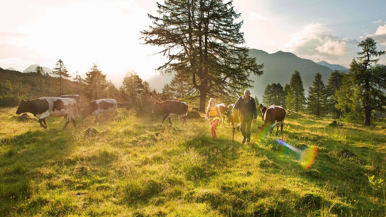 Intakte Bergwelt ist Spiegelbild einer nachhaltigen Energiewirtschaft